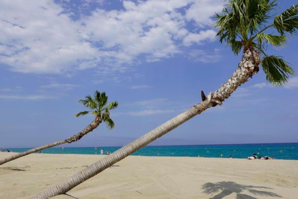 A 500 M De La Plage, Tout Confort Avec Wifi Le Barcares Bagian luar foto